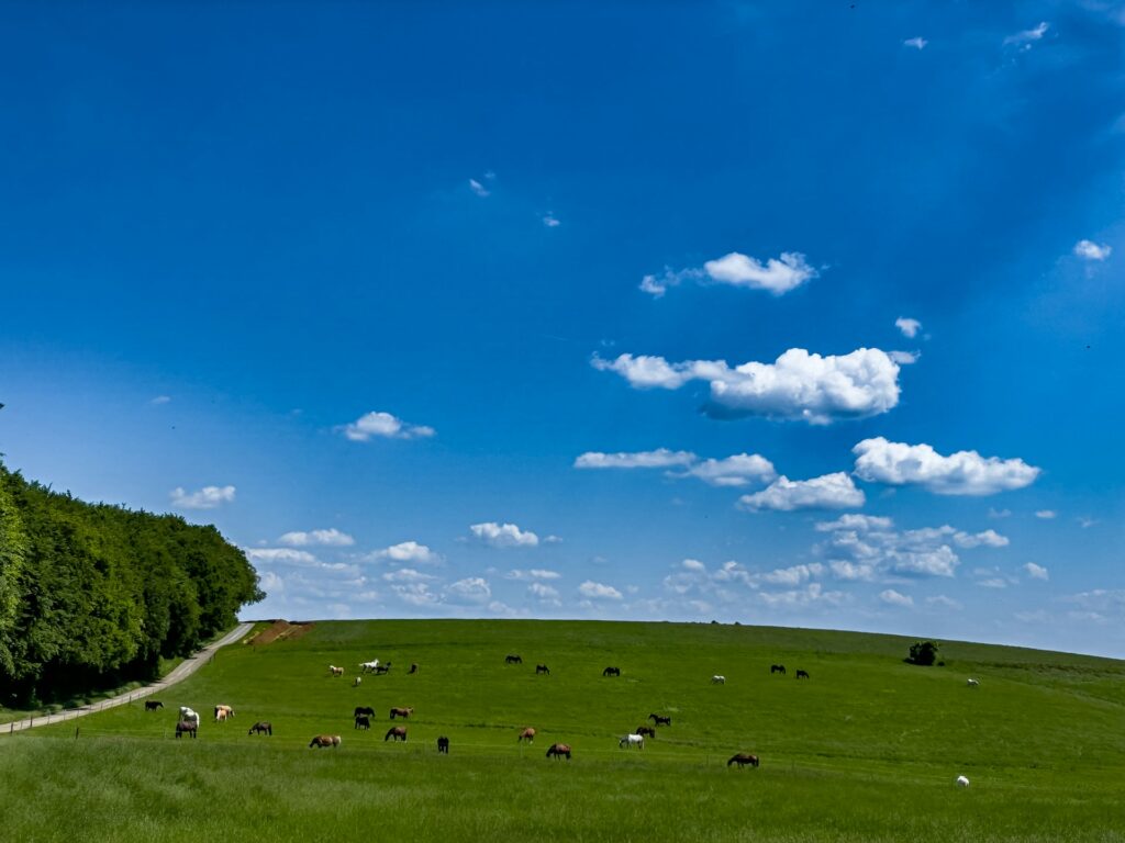 Agricultura Sustentável